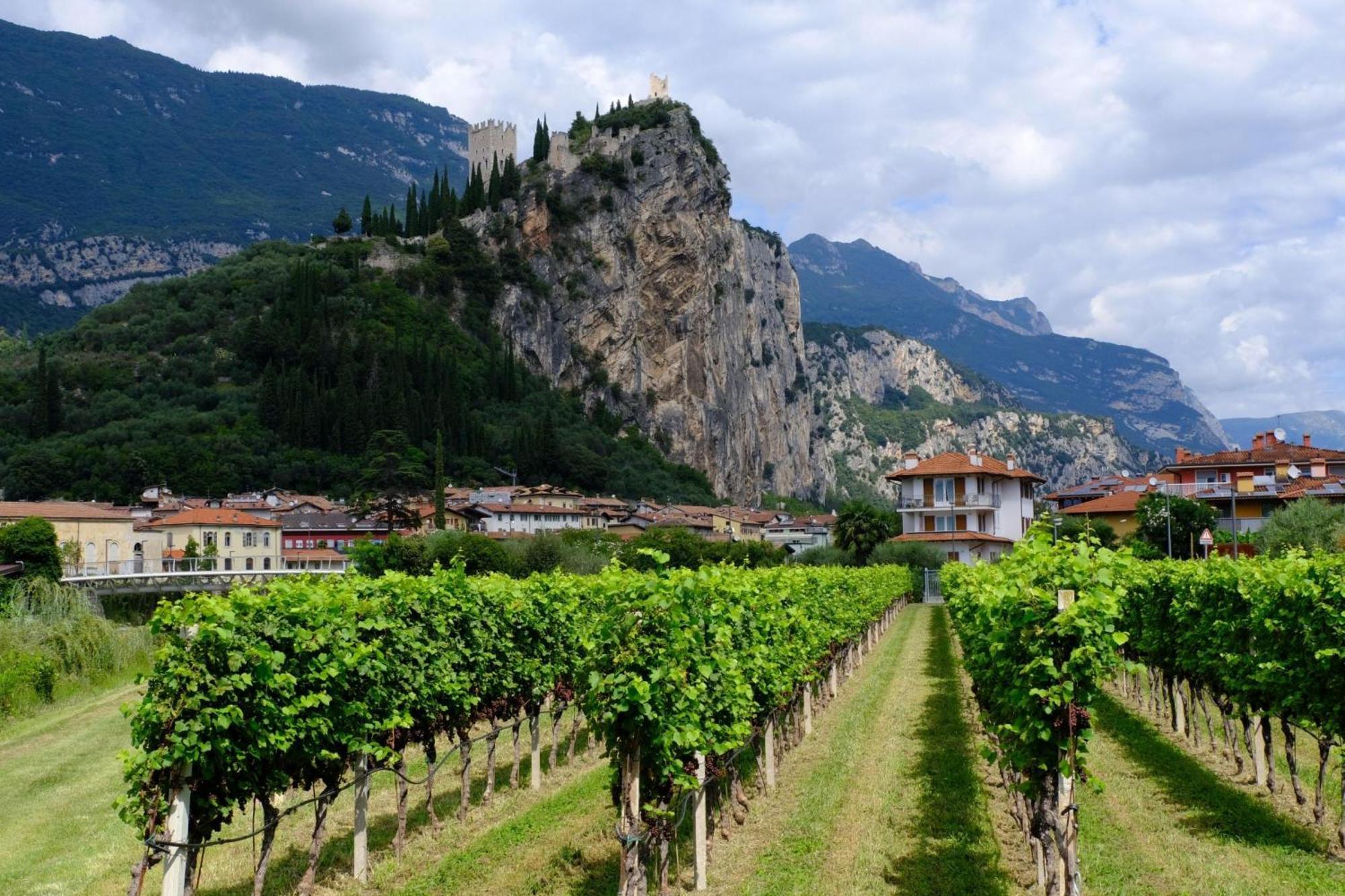 The Peace Of The Lake - Happy Rentals Torbole Sul Garda Εξωτερικό φωτογραφία